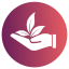 Loft Insulation